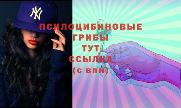 ECSTASY Абинск